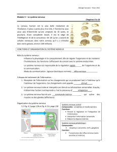 Notes de cours - Le système nerveux