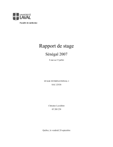 Rapport de stage