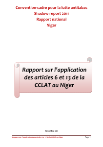 Rapport national_Shadow Report_Niger