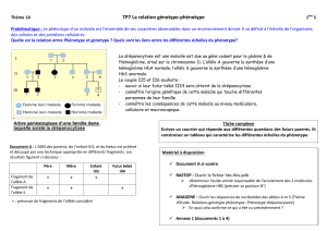 TP7 La relation génotype