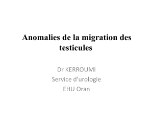 Anomalies de la migration des testicules