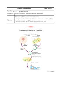 T1B3-Ra102C CORRIGE La fabrication de l`insuline par transgénèse