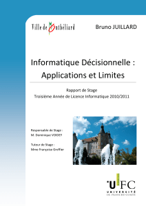Informatique Décisionnelle : Applications et Limites