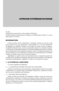 Approche systémique du risque