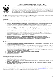 WWF France, Paris XIè, stage master, villes et infrastructures