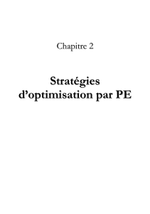 Stratégies d`Optimisation par la MPE