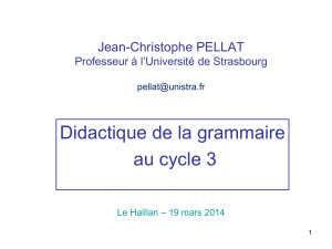 Jean-Christophe PELLAT Professeur à l`Université de Strasbourg