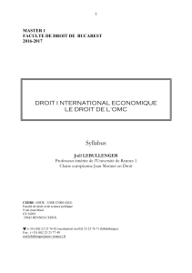 Syllabus M 1 Bucarest DIE - College Juridique franco