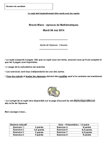 Brevet Blanc : épreuve de Mathématiques Mardi 06 mai 2014