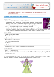 Faire de la grammaire en cours double Programmation 2015-2016