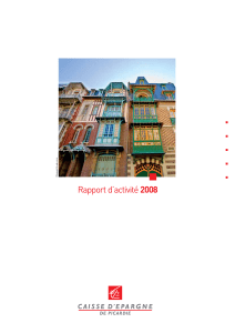Rapport d`activité 2008