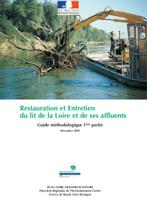Restauration et Entretien du lit de la Loire et de ses affluents Guide