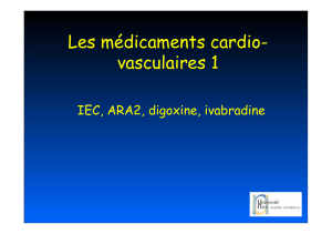 IEC - carabinsnicois.fr