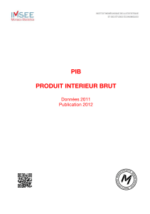 Rapport PIB 2011 Format PDF, 130,67 ko