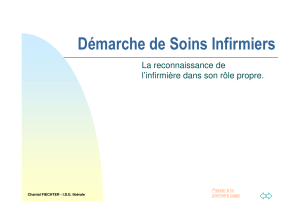 (Microsoft PowerPoint - D\351marche de Soins Infirmiers v2012.ppt