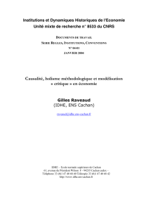 Causalité, holisme méthodologique et