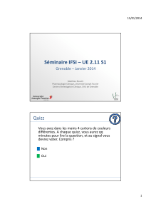 Séminaire IFSI – UE 2.11 S1