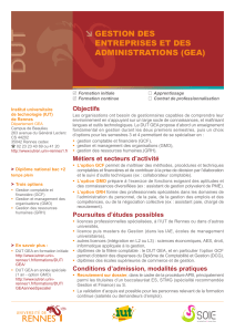 GESTION DES ENTREPRISES ET DES ADMINISTRATIONS (GEA)