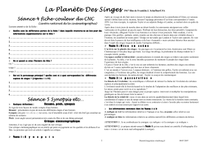 La Planete Des Singes04et05fiche CNC