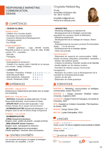 CV Compétences_web - Nexidea | Marketing, Communication et