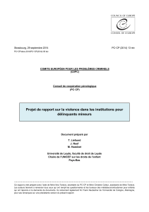 Projet de rapport sur la violence dans les institutions pour