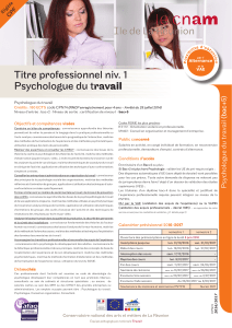 Titre professionnel niv. 1 Psychologue du travail