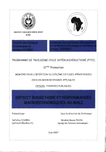 D&eacute;ficit budg&eacute;taire et performances macro&eacute;conomiques - BEEP-IRD