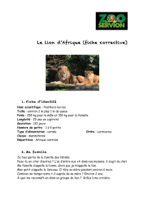 Le lion d`Afrique (fiche corrective)