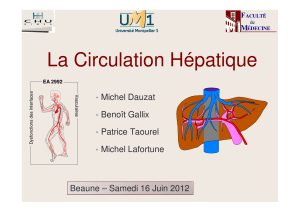 MD Circulation Hépatique 2012A