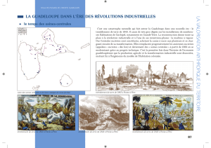 La Guadeloupe dans l`ère des révolutions industrielles