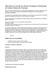 accéder à notre pdf sur l`urologie.