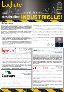 VL_Publi-Report_Industrie_mai2015_Mise en