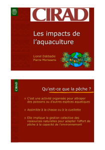 Impact aquaculture