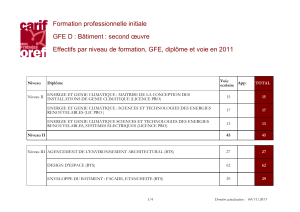 Formation professionnelle initiale GFE D : Bâtiment : second œuvre