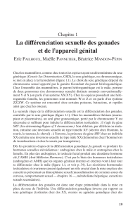 La reproduction animale et humaine