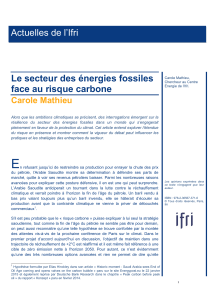 Le secteur des énergies fossiles face au risque carbone