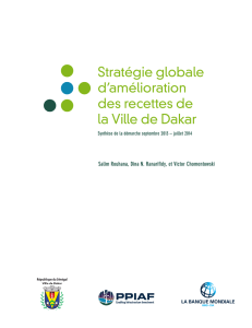 Stratégie globale d`amélioration des recettes de la Ville de