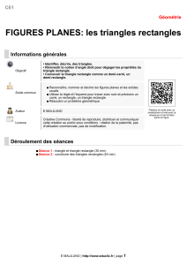 les triangles rectangles