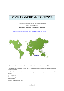 zone franche mauricienne