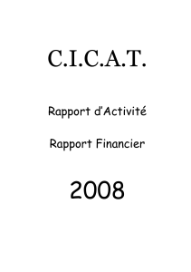 Rapport 2008