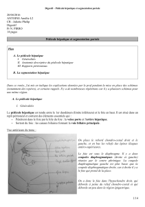 Juliette Phélip Digestif Pr N. PIRRO 14 pages Pédicule hépatique et