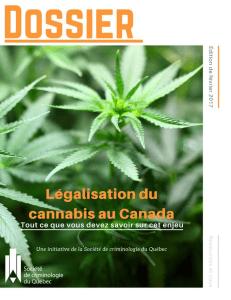 dossier sur La légalisation du cannabis au Canada