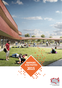 rapport d`activités