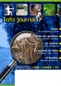 Info journal