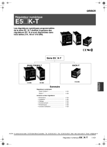 E5  K-T (PDF/1,69Mo) [F]