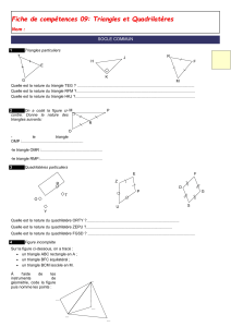 Fiche de compétences 09: Triangles et Quadrilatères Nom : SOCLE