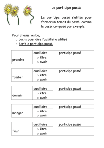 Le participe passé