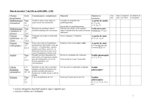 Plan de travail n° 7 du 5/01 au 16/01/2009 – CM2