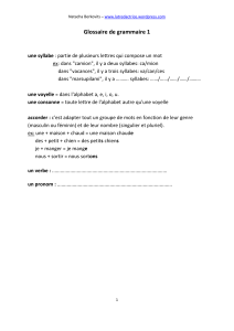 Glossaire (grammaire et vocabulaire) – Niveau