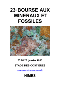 En 2008 - La Bourse aux minéraux et fossiles de nîmes